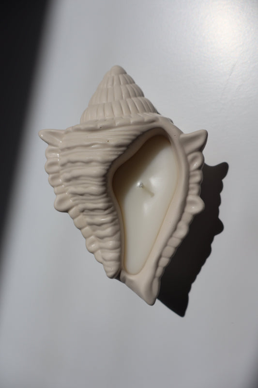 Sea Shell candle