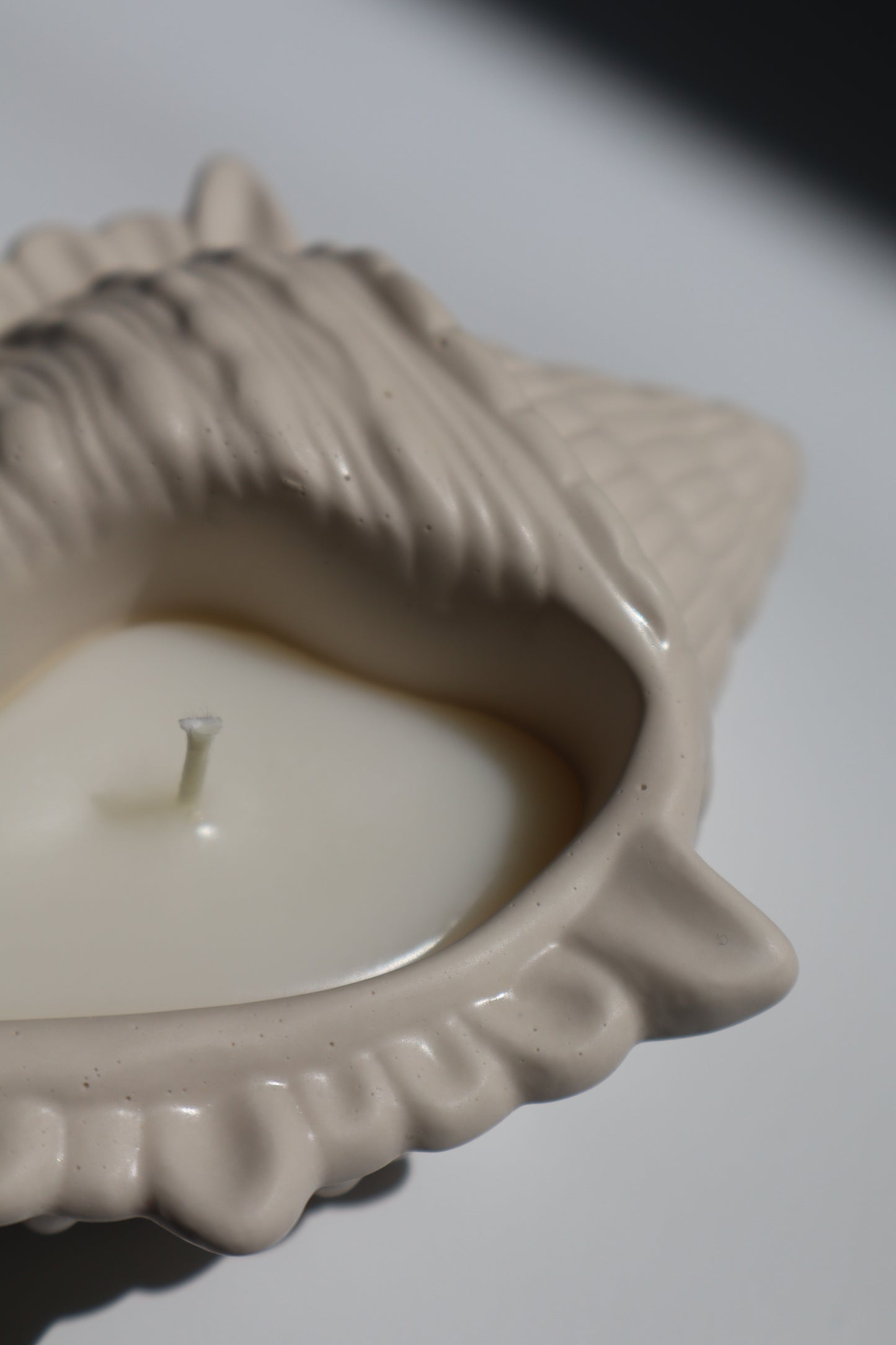 Sea Shell candle