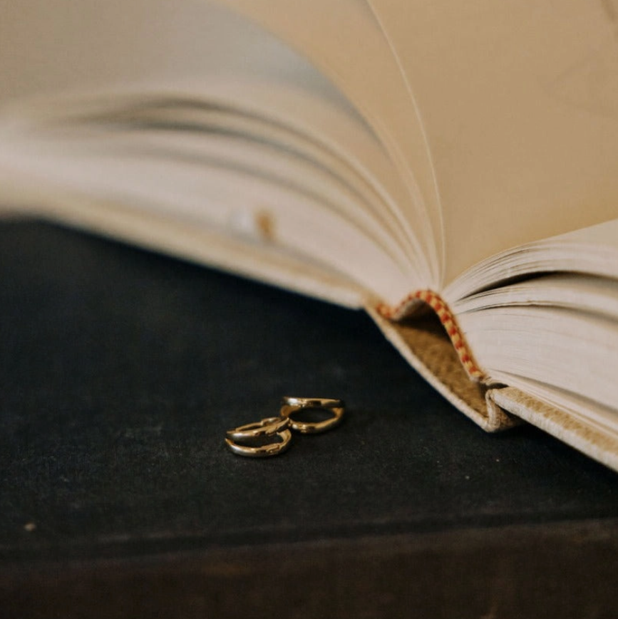 Sadie Double Band Hoops